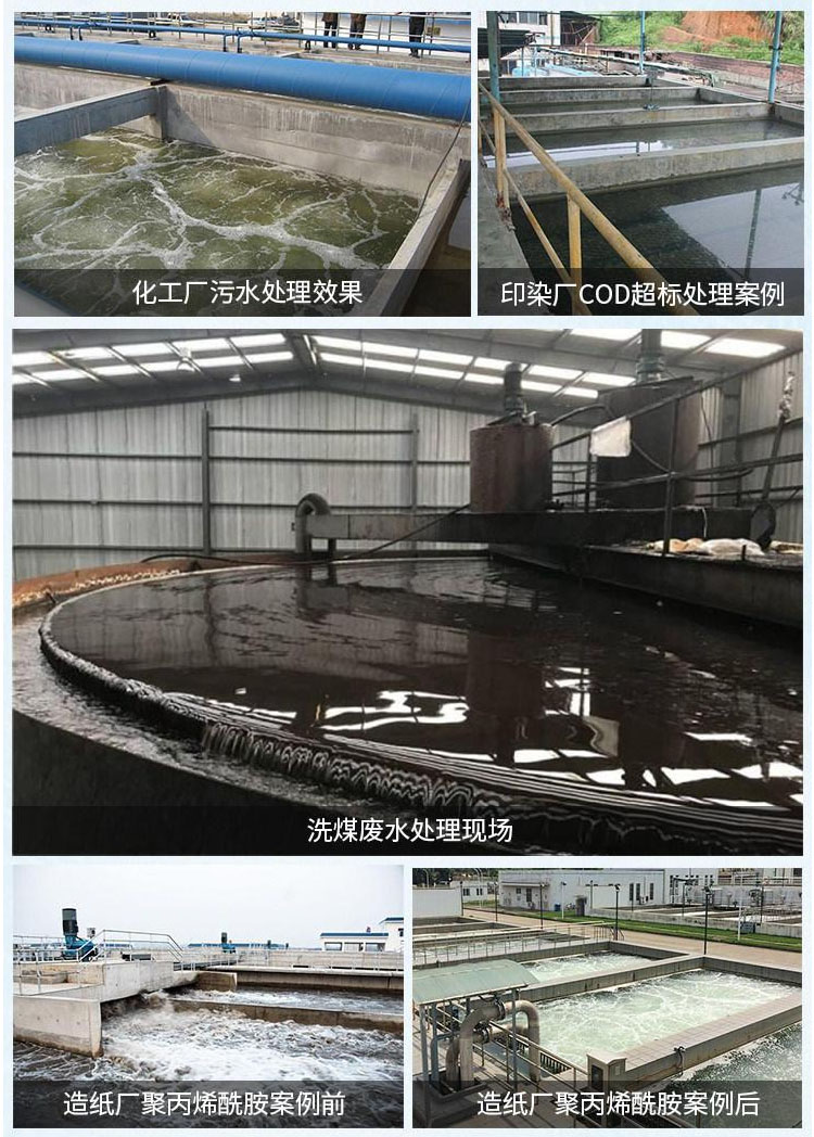 效果展示